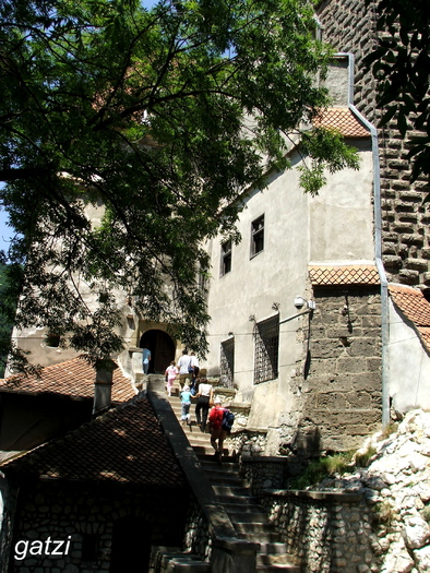 DSCF4394 - Castelul Bran