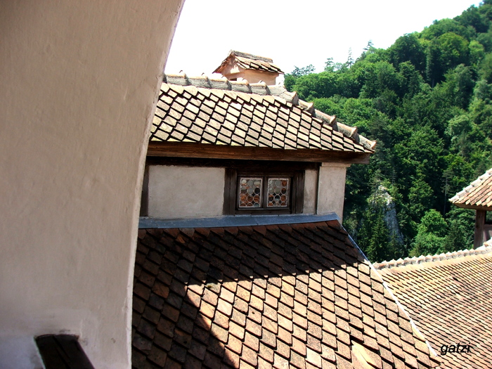 DSCF4452 - Castelul Bran