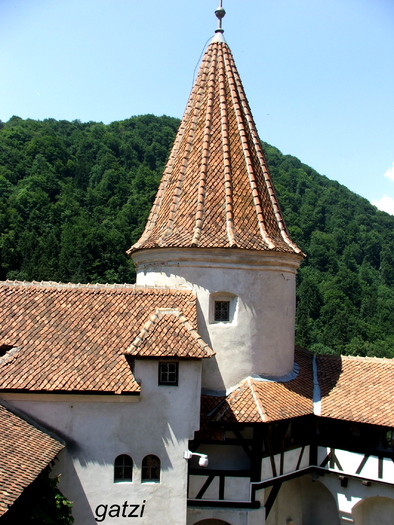 DSCF4457 - Castelul Bran