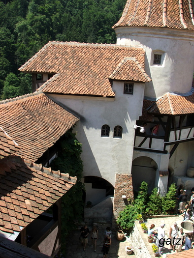 DSCF4459 - Castelul Bran