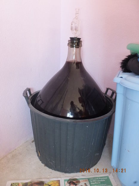 DSCF 5123 (13-10-2016)