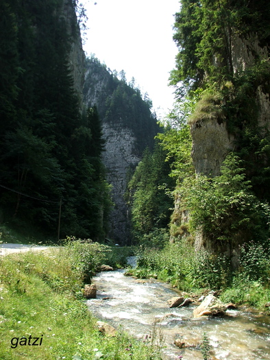 DSCF4661 - CHEILE DAMBOVICIOAREI