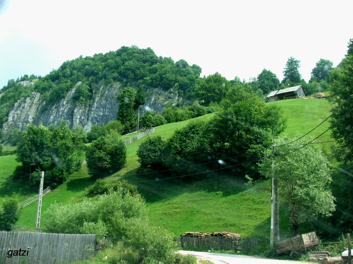 DSCF4685 - CHEILE DAMBOVICIOAREI