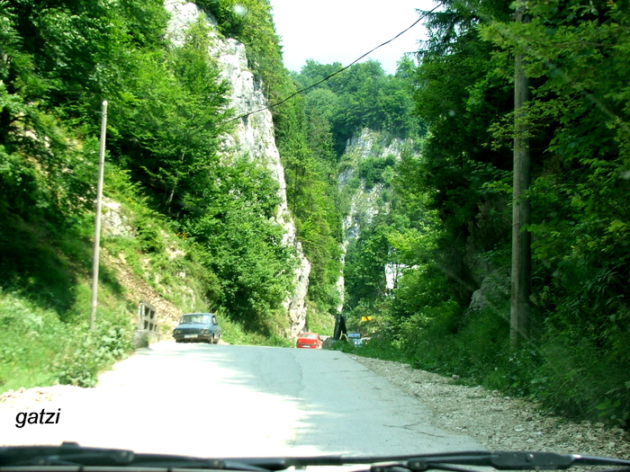 DSCF4693 - CHEILE DAMBOVICIOAREI