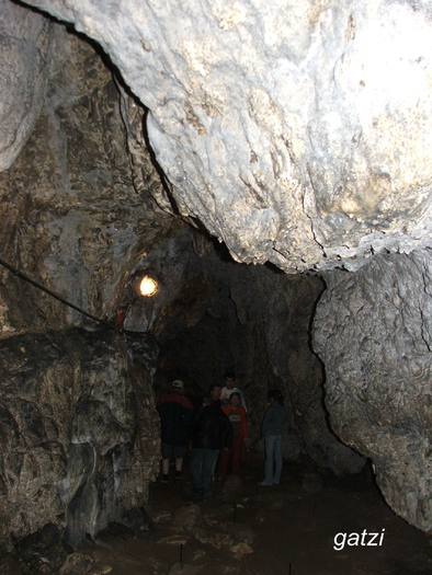 DSCF4733