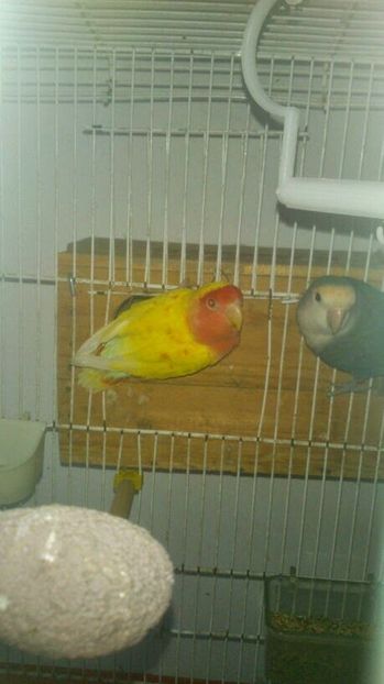 IMG-20140427-WA0002 - Amintiri