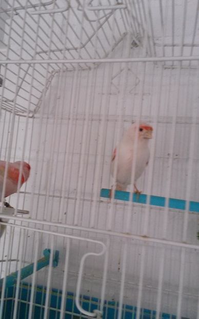  - Amintiri