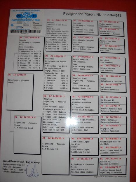 NL 11-1344373 PEDIGREE TATA