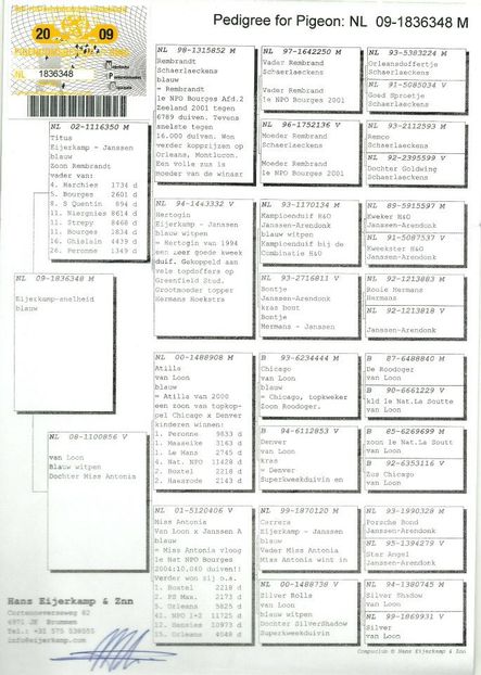 NL 09-1836348 PEDIGREE TATA