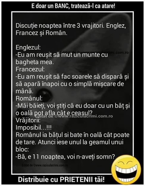 14224886_651988814963654_7200839297639795980_n - Diverse