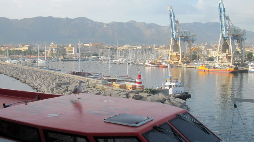 In portul Palermo