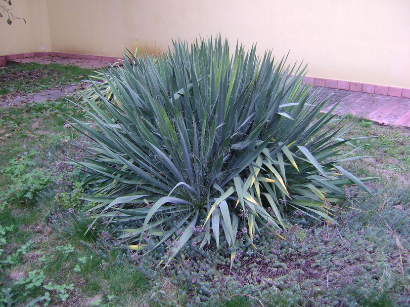 Culori si forme la mijloc de octombrie
