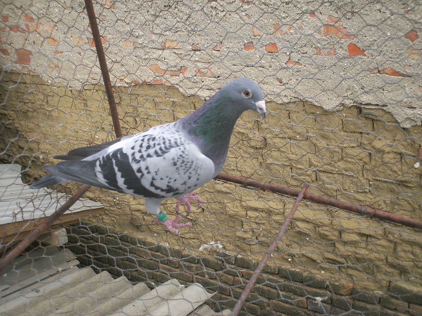 PICT0082