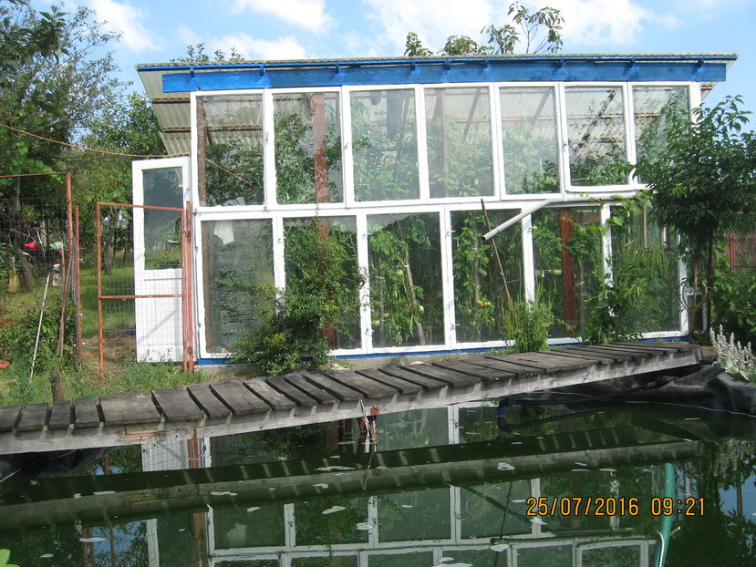 Intre iaz si mica me asera....