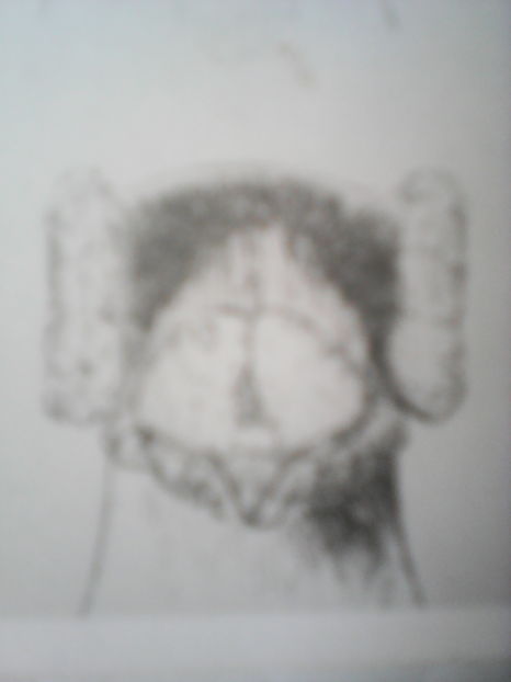 STANDARD BARB matur DARVIN  1855 - B E R B E R I  ---    BARBS  PIGEONS