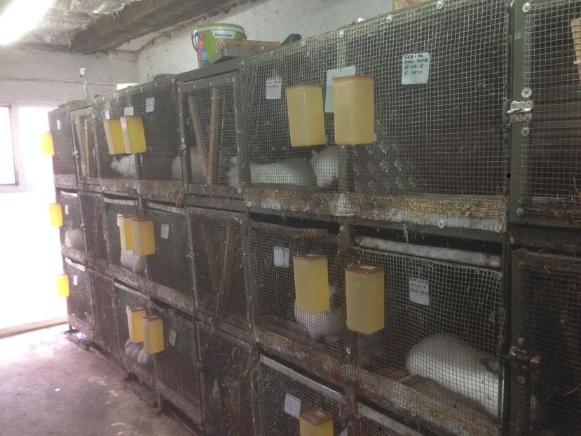  - ADAPOST - CALIFORNIAN