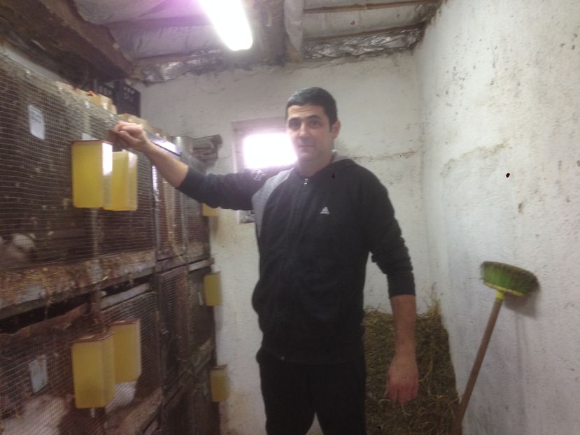  - ADAPOST - CALIFORNIAN