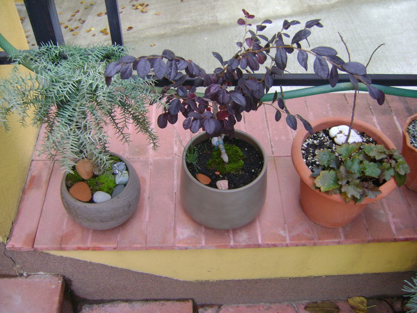 Culori si forme la sfarsit de octombrie - Toamna 2016-2017