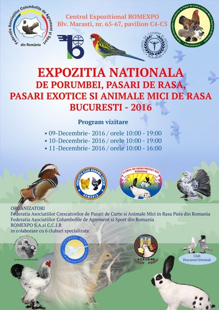 afis expo nationala - Expo nationala 2016