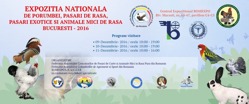 afis expo nationala - Expo nationala 2016