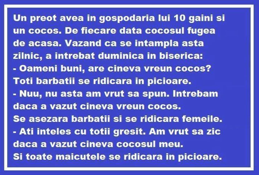 14724457_554686898054686_8046527556554717809_n - Diverse