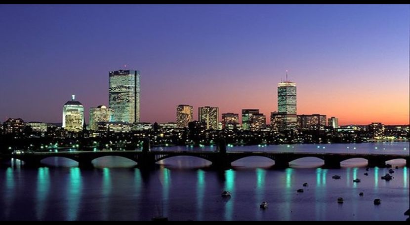 ∟WildChild got  ̷B̷o̷s̷t̷o̷n̷