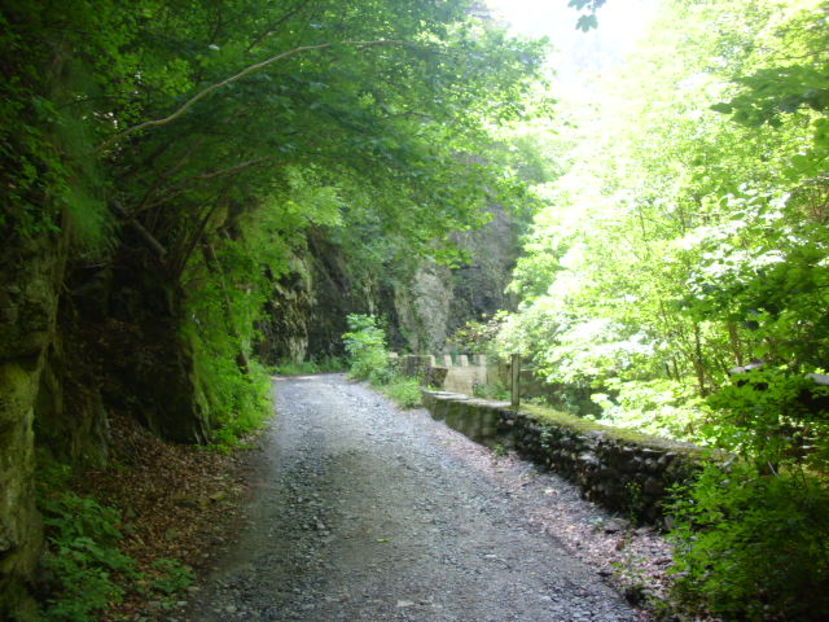 Spre Cascada Lotrișor