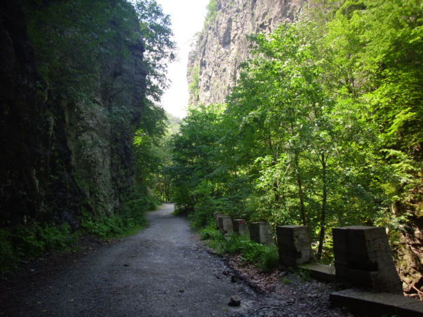 Spre Cascada Lotrișor