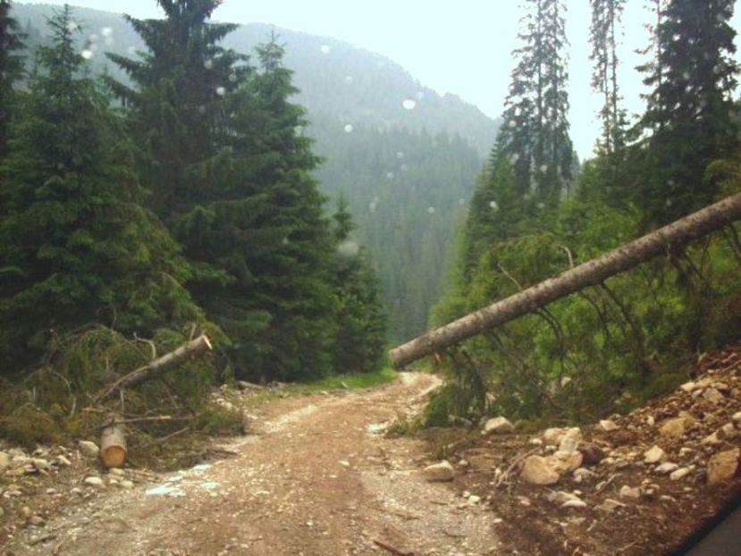 Pe cheile Lătoriței