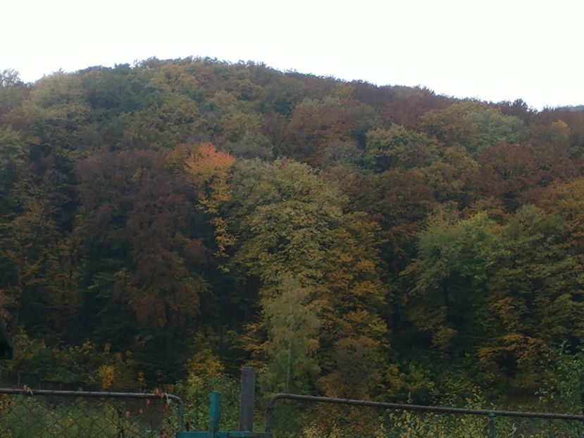 2016-10-26-6171