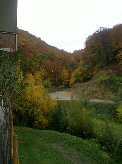 2016-10-24-6151