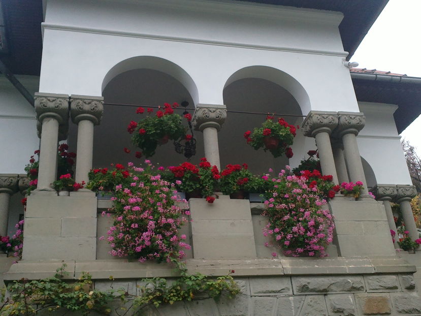 2016-10-24-6154