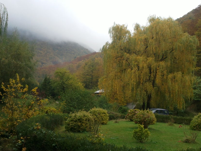 2016-10-24-6157