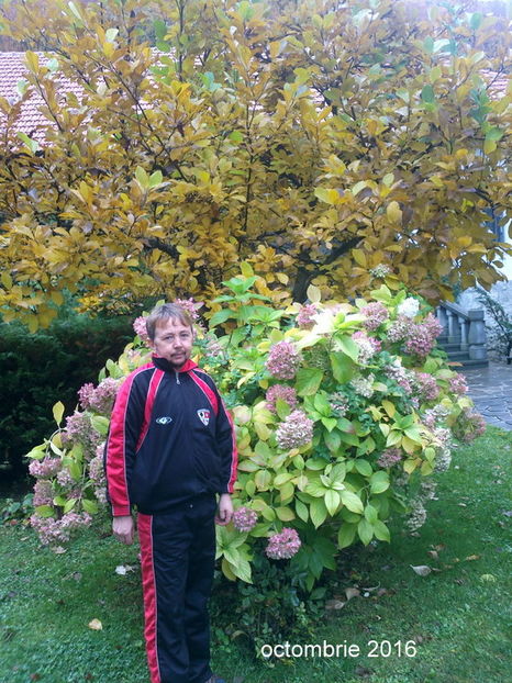 2016-10-24-6140