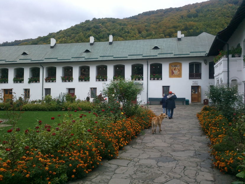 2016-10-17-6065