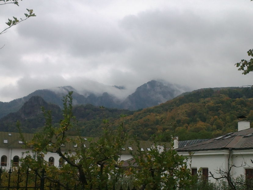 2016-10-17-6072