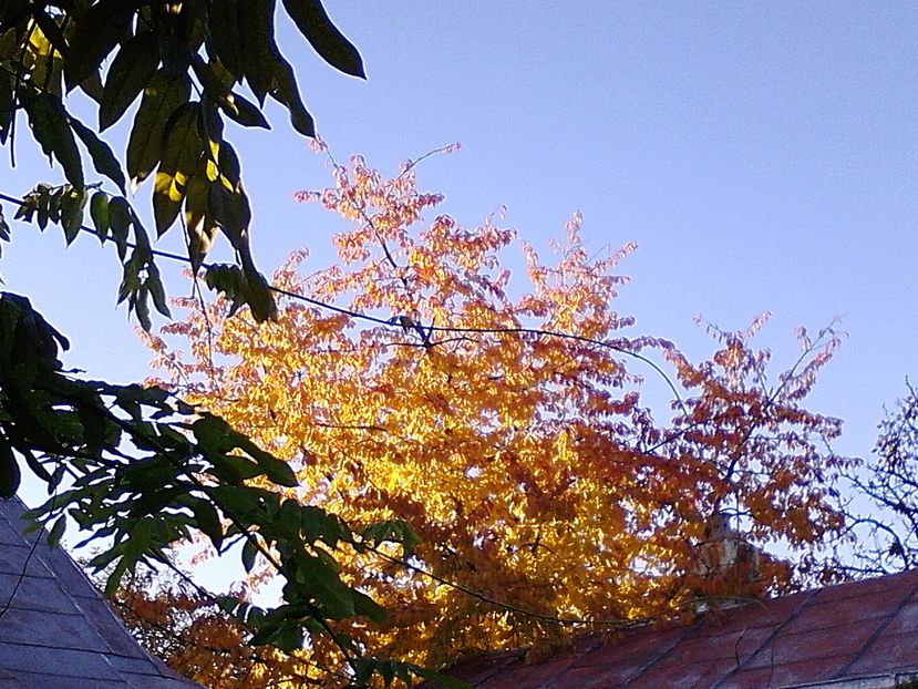 Picture0 011 156 - Final