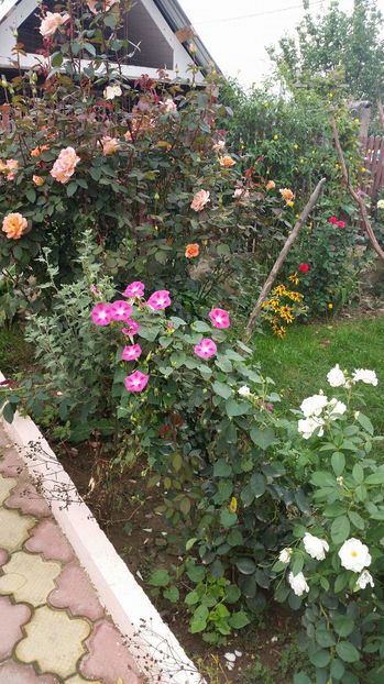 received_1638057829776023