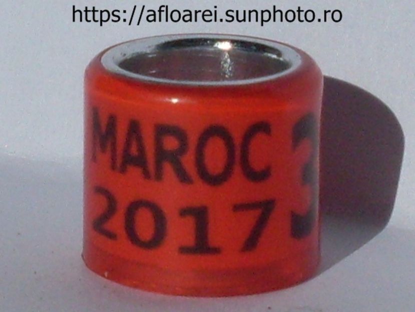 maroc 2017 ros - MAROC