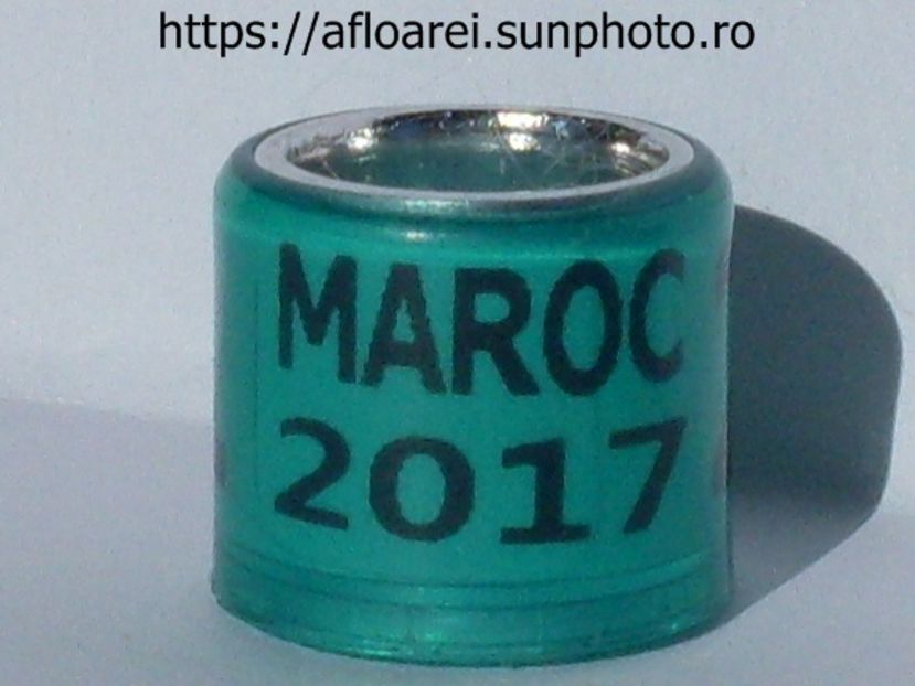 maroc 2017 verde - MAROC