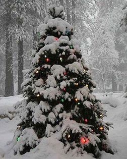  - Christmas