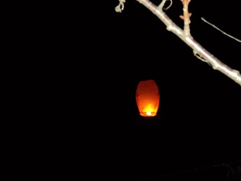 b - Aniversare 6 ani MarcThomas