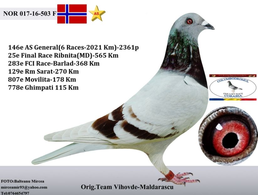 a_loc25teamvihovdecopy