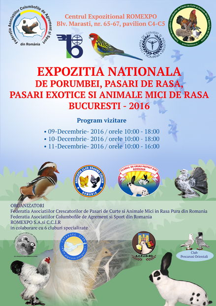 Afis Expozitia Nationala Bucuresti 2016 - Z10 - Expozitia Nationala Bucuresti 2016