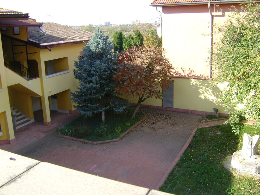 Culori si forme la inceput de noiembrie - Toamna 2016-2017