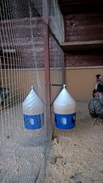 Cârlige adăpători - H- Voliera