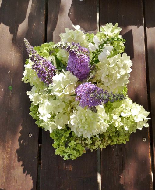 P1990631 - 01 - Floristica