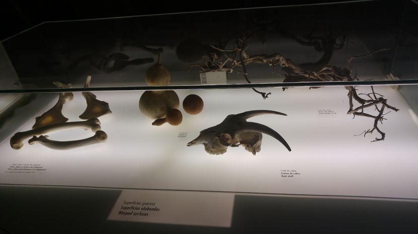  - Barcelona 1 Nov 2016