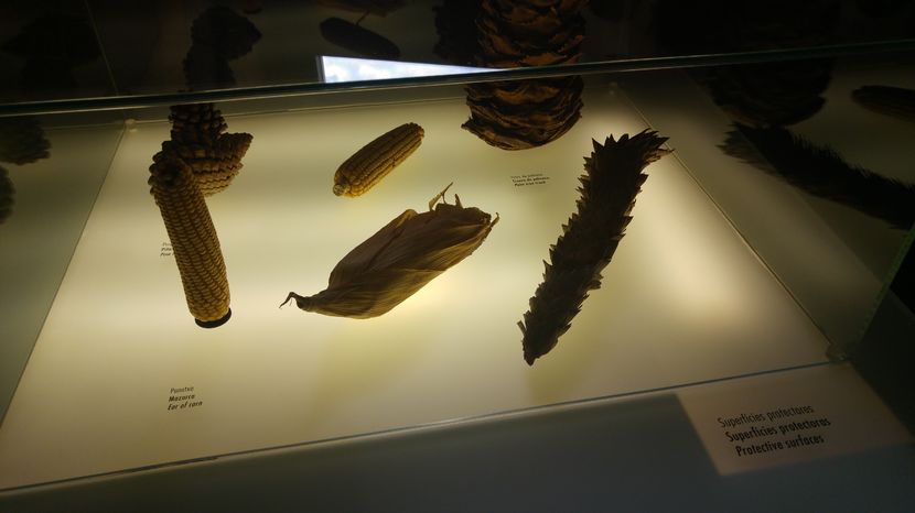  - Barcelona 1 Nov 2016