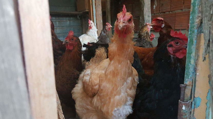 received_180976785643040